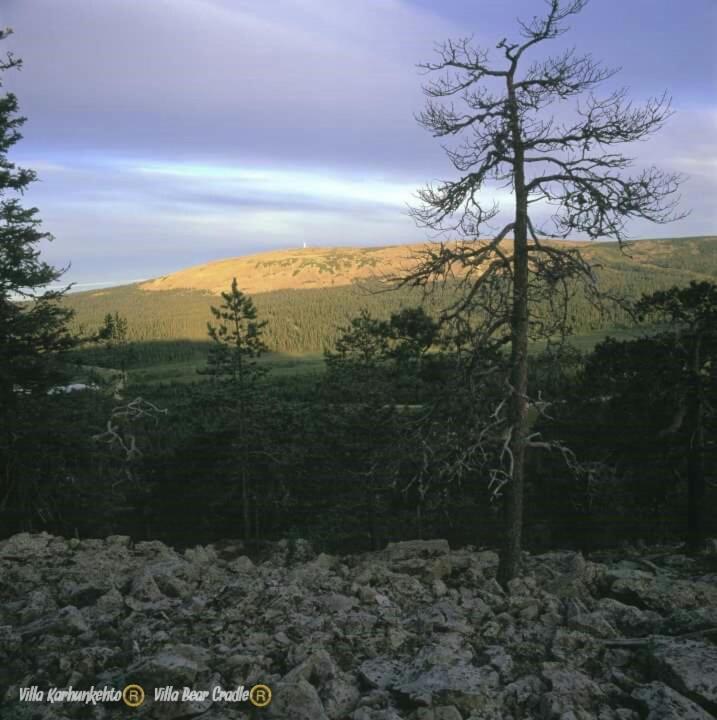 Villa Karhunkehto Luosto Esterno foto
