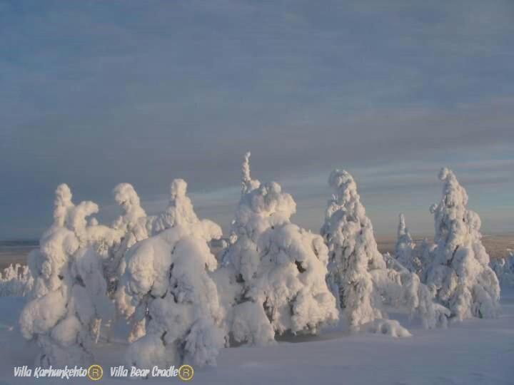 Villa Karhunkehto Luosto Esterno foto