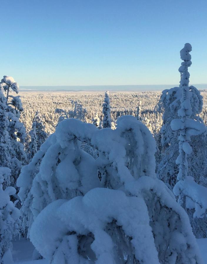 Villa Karhunkehto Luosto Esterno foto