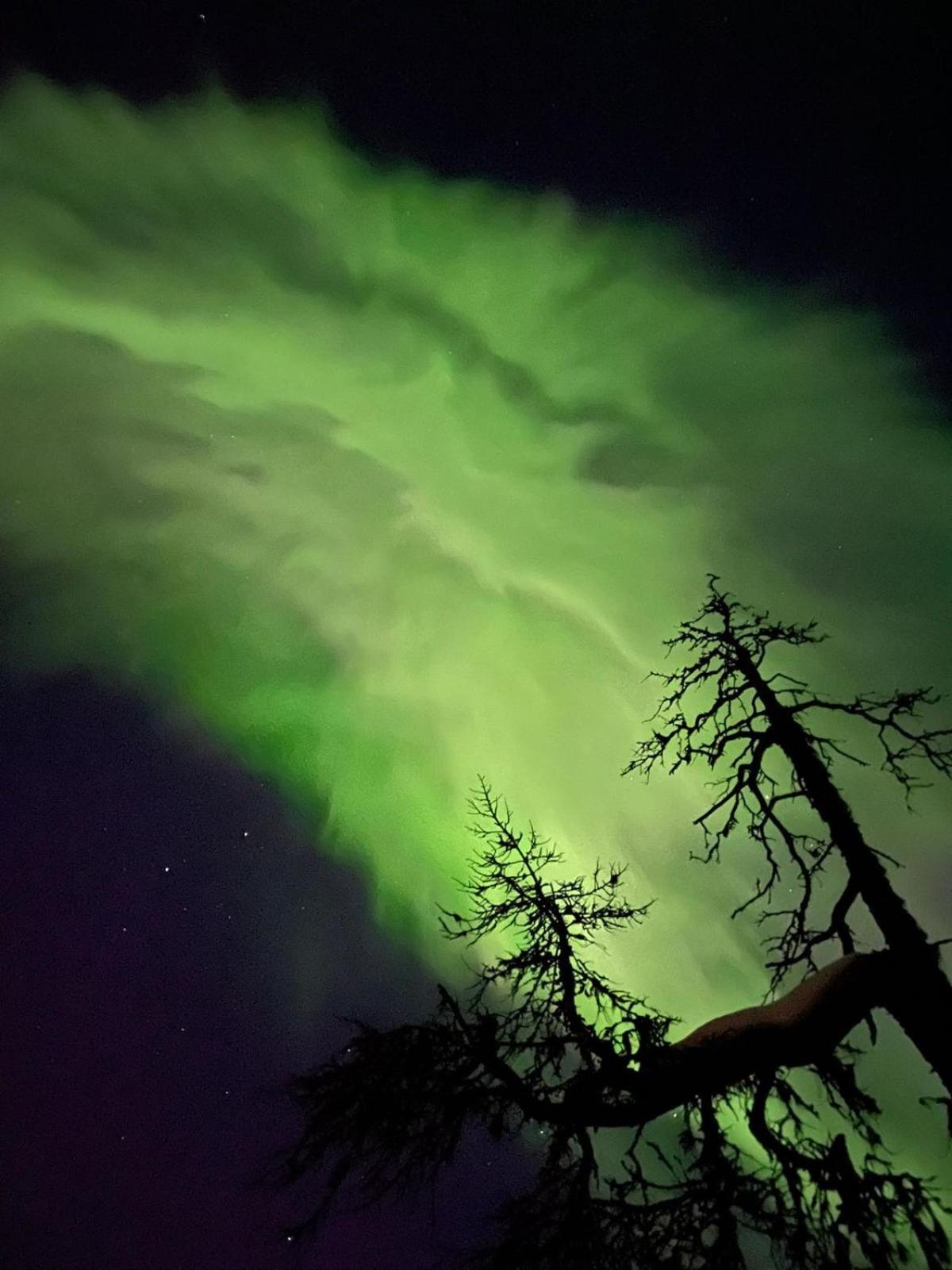 Villa Karhunkehto Luosto Esterno foto