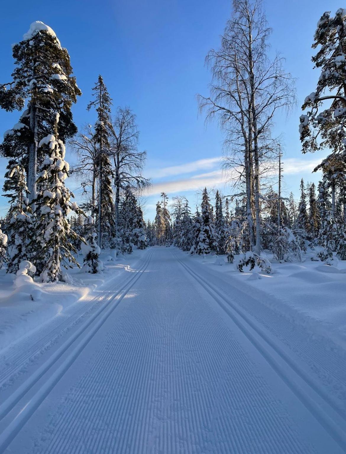 Villa Karhunkehto Luosto Esterno foto