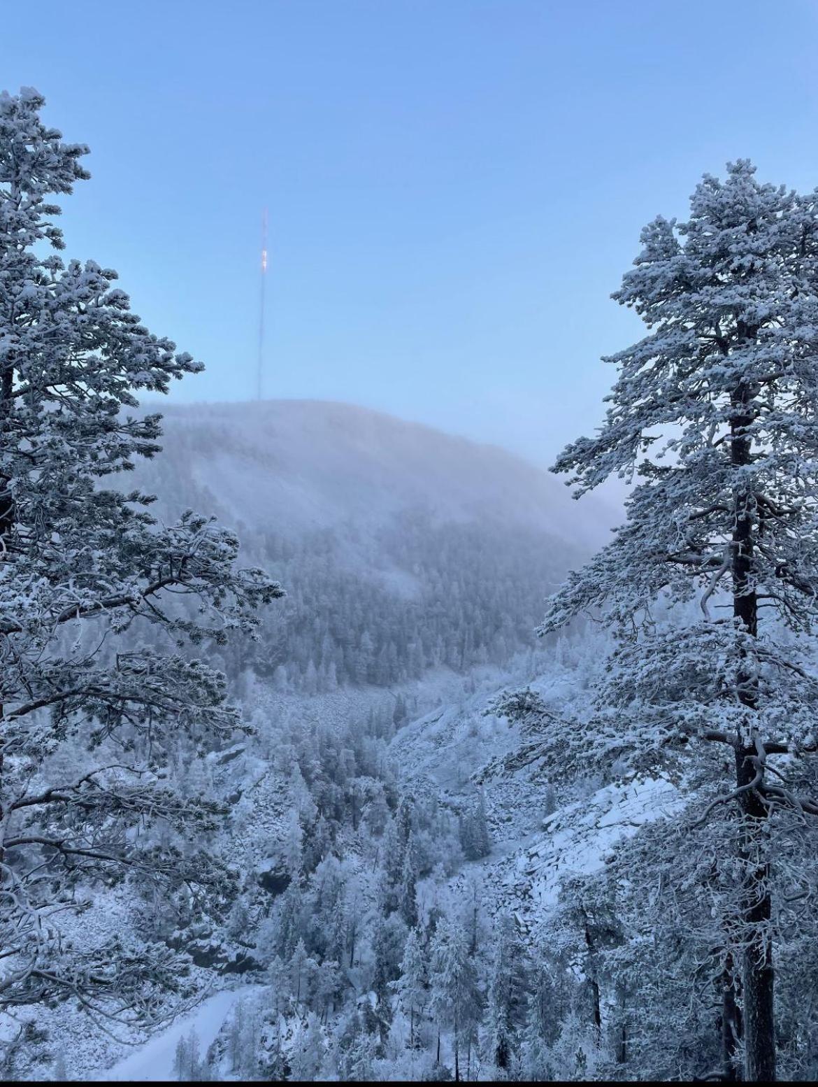 Villa Karhunkehto Luosto Esterno foto